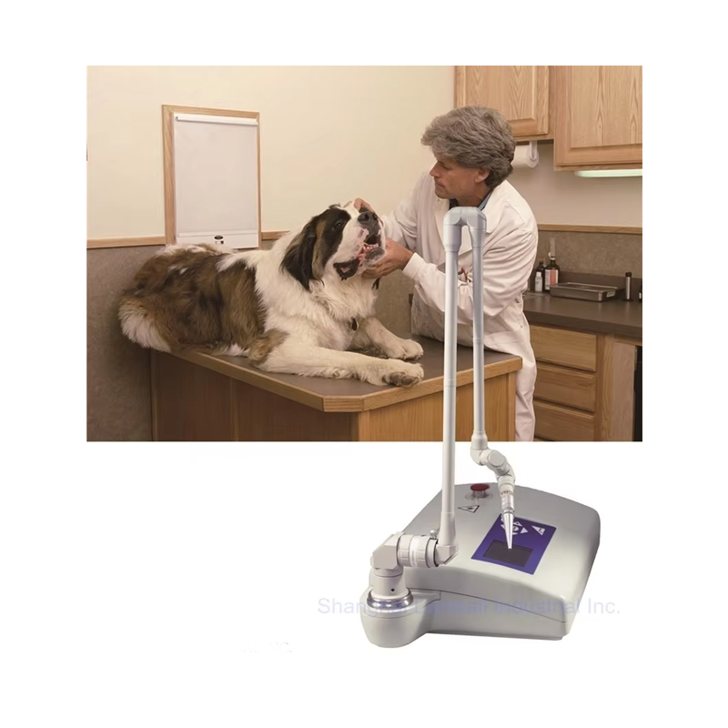 Co2 Fractional Laser Machine Clinic - Taşınabilir 15W CO2 Cerrahi Lazer Cihazı,