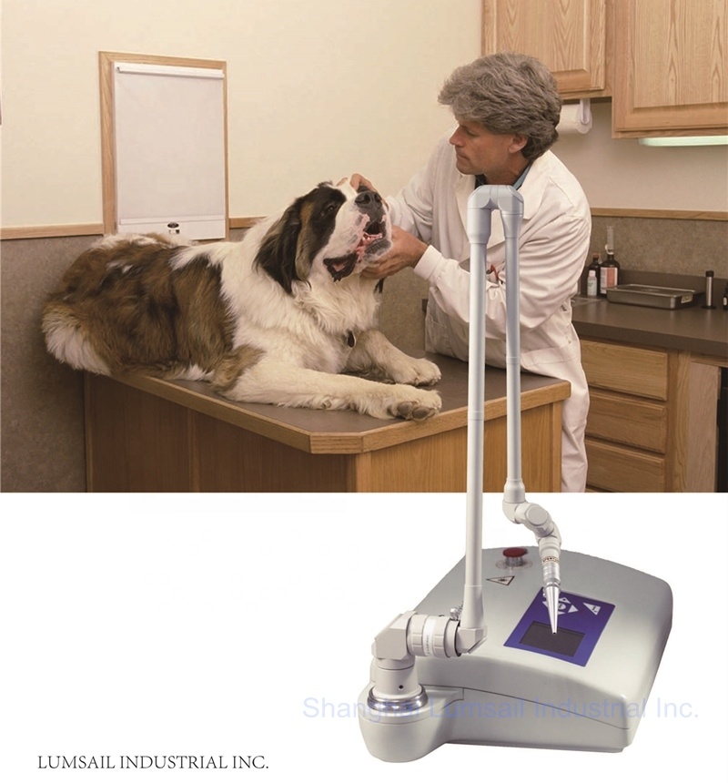Taşınabilir 15W CO2 Cerrahi La - Co2 Fractional Laser Machine Clinic incelemesi ve fiyatı