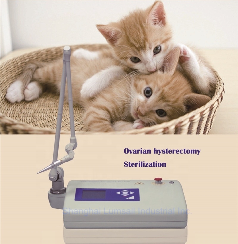 Taşınabilir 15W CO2 Cerrahi La - Co2 Fractional Laser Machine Clinic incelemesi ve fiyatı